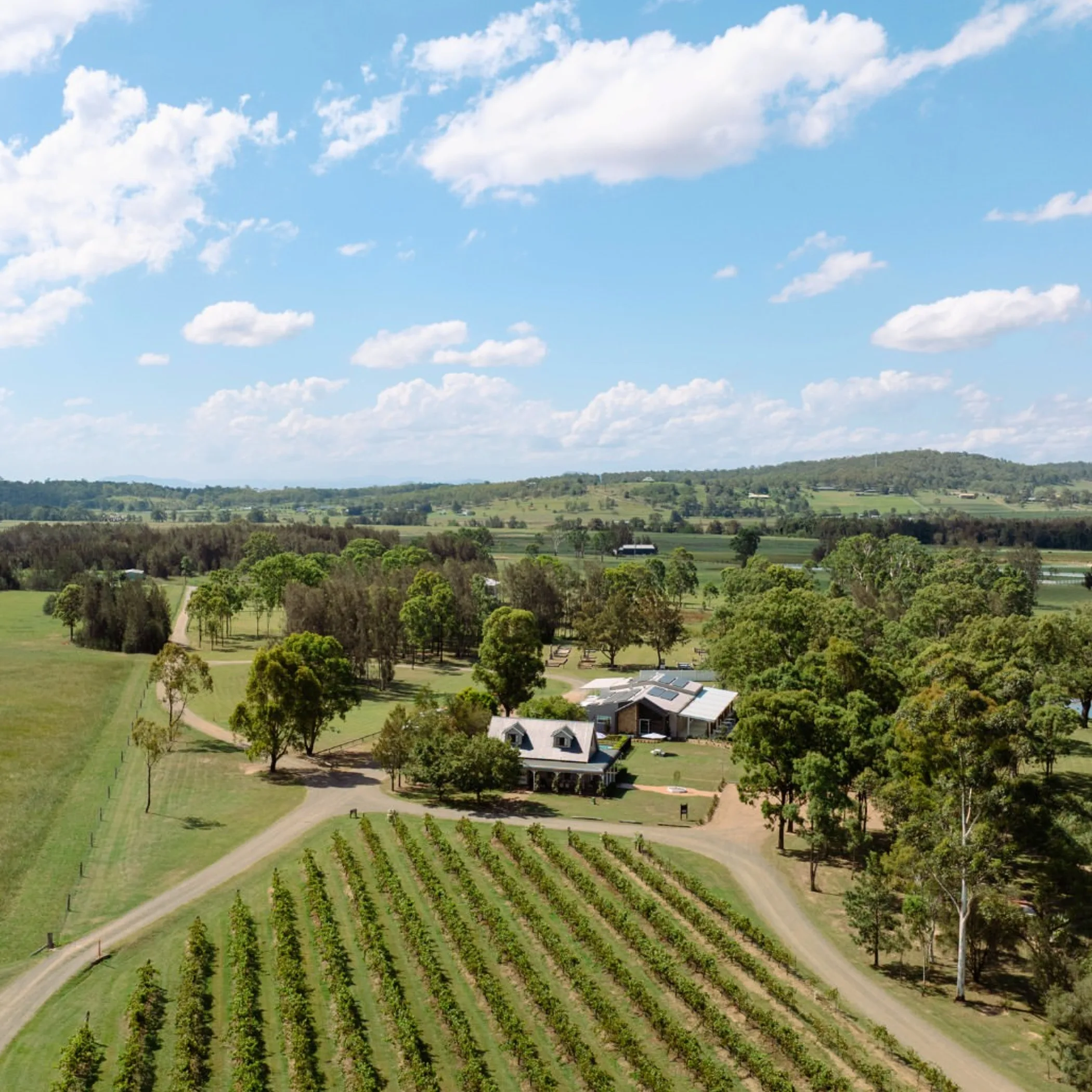 hunter valley vineyard and countryside view