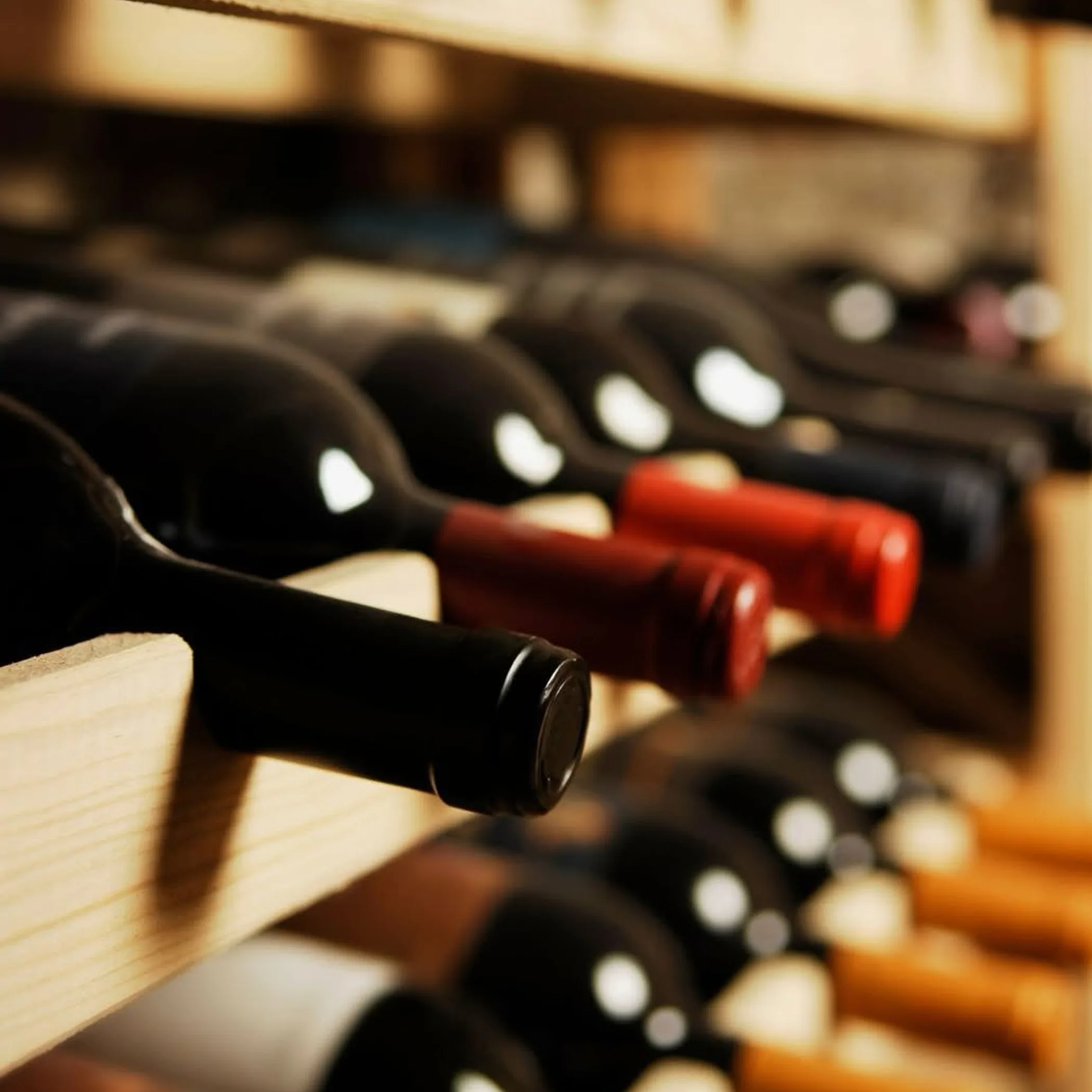 wine bottles on wooden table
