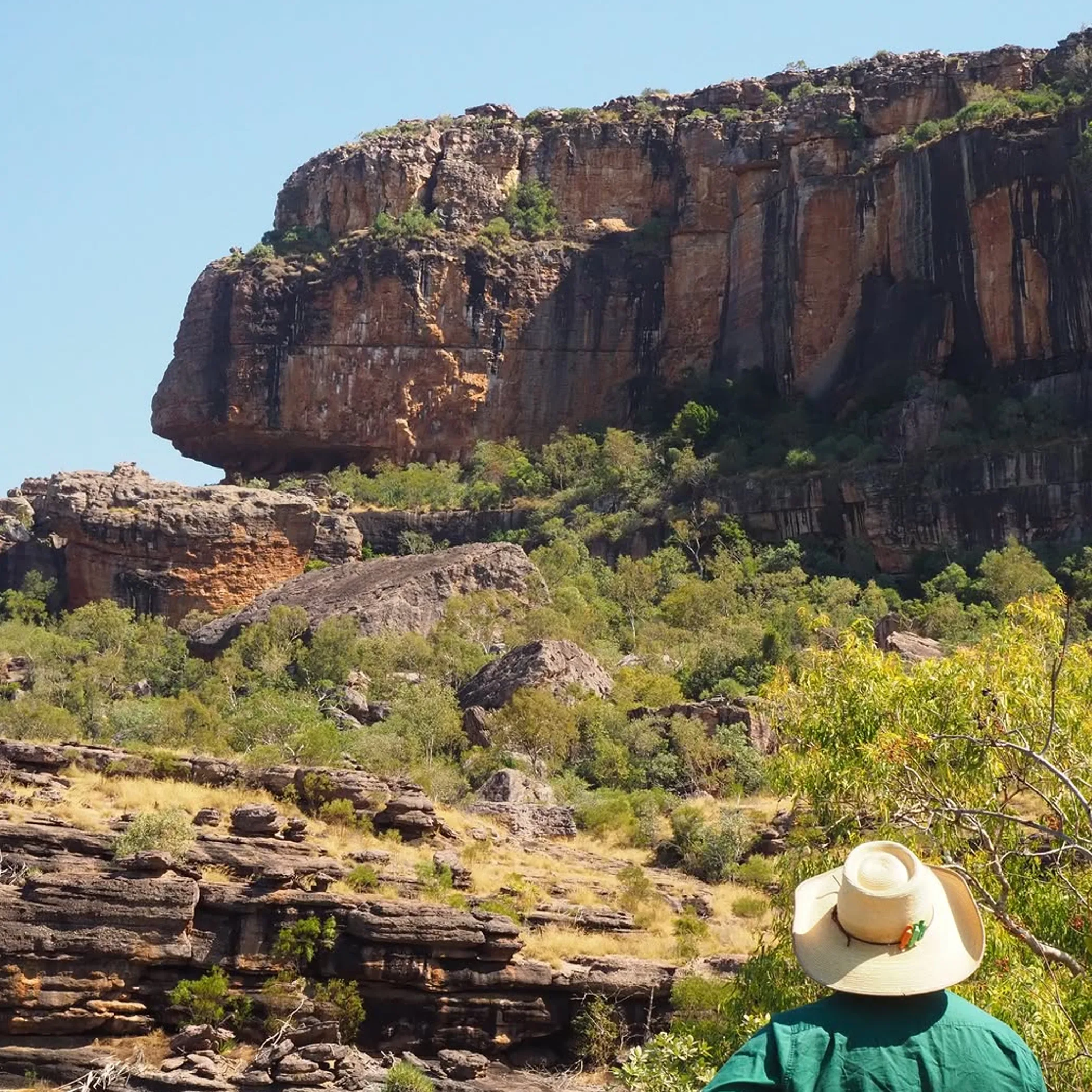person observing kakadu national park landscape