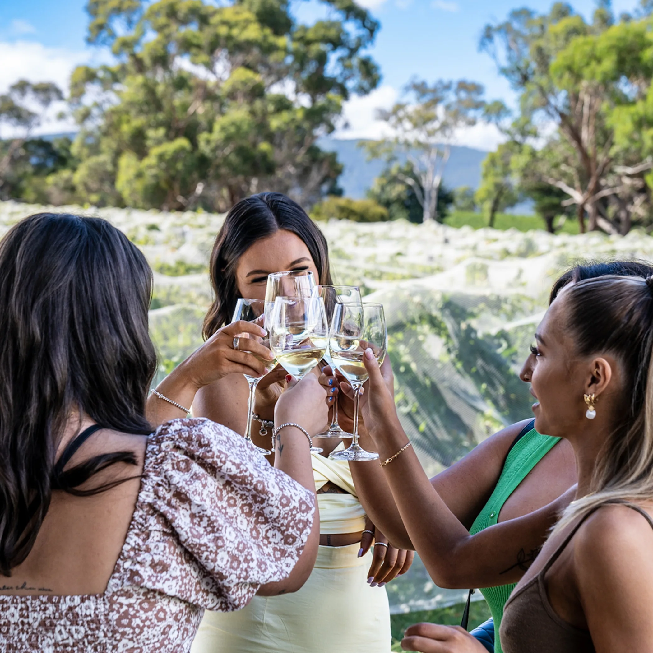 vineyard wine-tasting scene