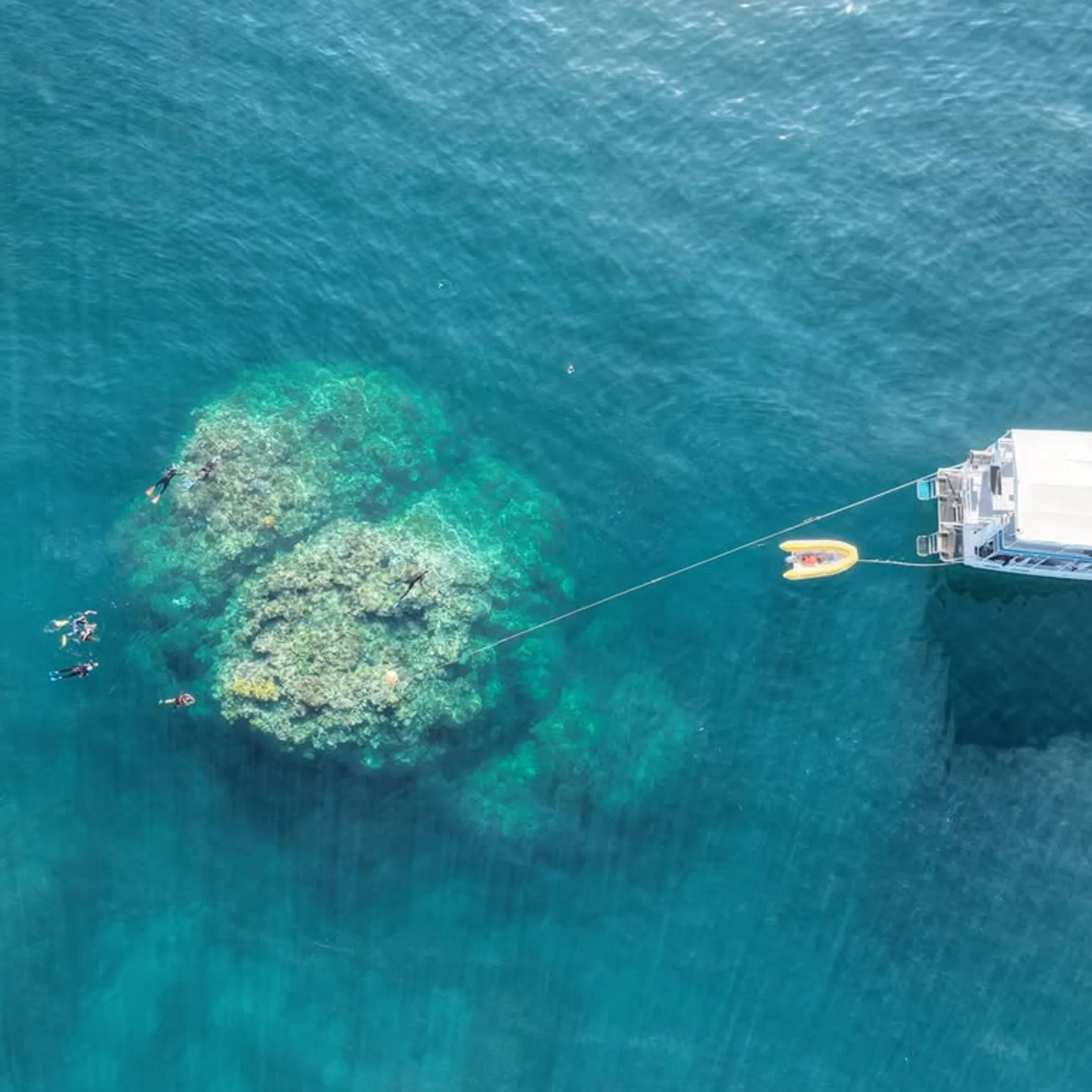 divers, coral reef, and boat